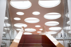 SDU