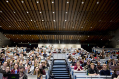 SDU