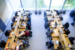 SDU