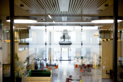 SDU